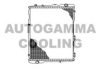 AUTOGAMMA 102524 Radiator, engine cooling